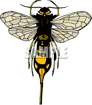 Bug Clipart