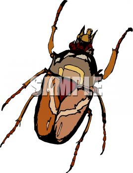 Bug Clipart