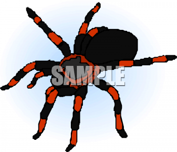 Spider Clipart