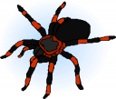 Spider Clipart