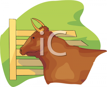 Cow Clipart