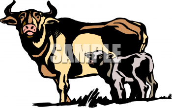 Calf Clipart