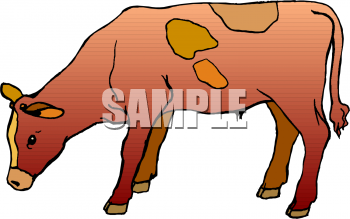 Cow Clipart