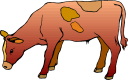 Cow Clipart