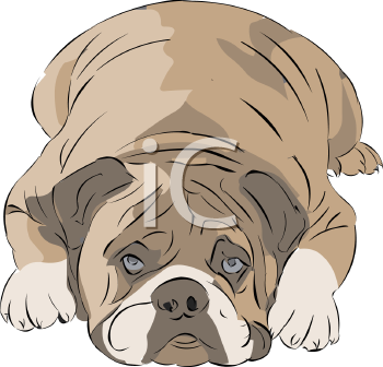 Dog Clipart