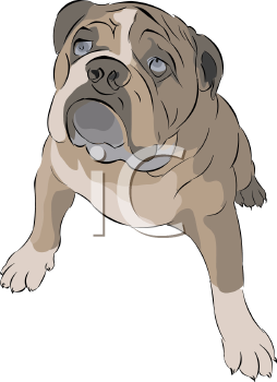 Dog Clipart