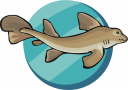 Fish Clipart