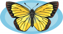 Bug Clipart