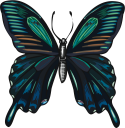 Bug Clipart