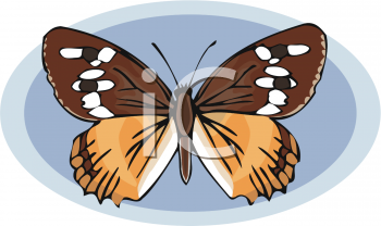 Bug Clipart