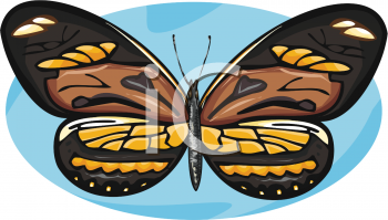 Bug Clipart