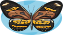 Bug Clipart