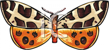 Bug Clipart