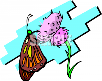 Royalty Free Bug Clipart