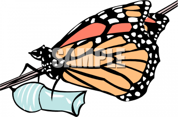 Bug Clipart