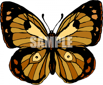 Bug Clipart