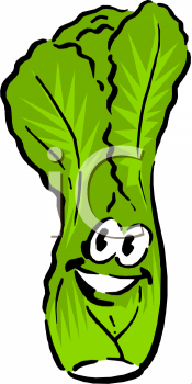 Cabbage Clipart