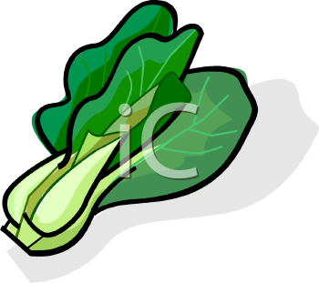 Cabbage Clipart