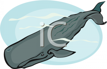 Whale Clipart