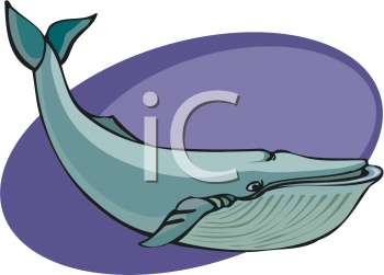 Whale Clipart