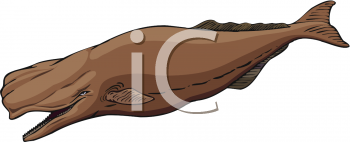 Whale Clipart