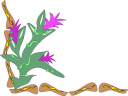 Cactus Clipart