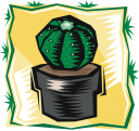 Cactus Clipart