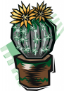 Cactus Clipart