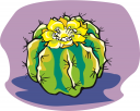 Cactus Clipart