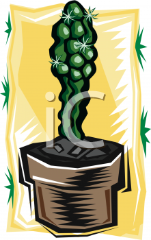 Cactus Clipart