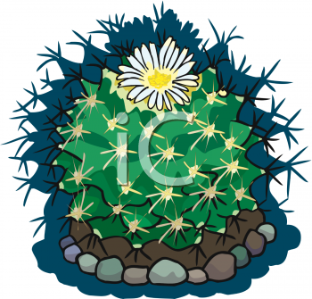 Cactus Clipart