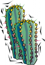 Cactus Clipart