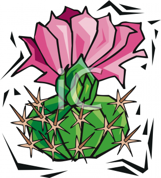 Cactus Clipart