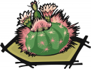 Cactus Clipart