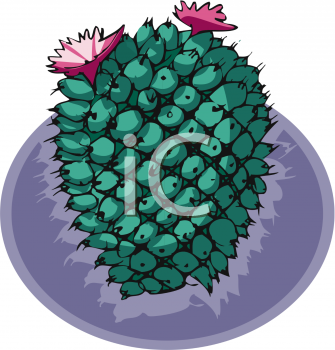 Cactus Clipart