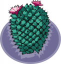 Cactus Clipart