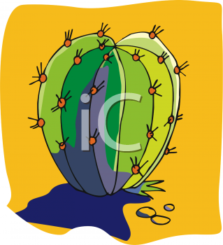 Cactus Clipart