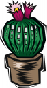 Cactus Clipart