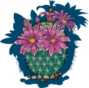 Cactus Clipart