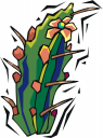 Cactus Clipart