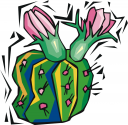 Cactus Clipart