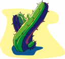 Cactus Clipart