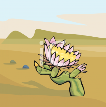 Cactus Clipart