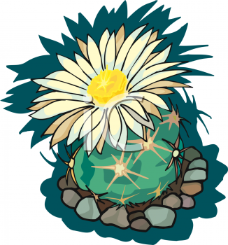 Cactus Clipart