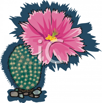 Cactus Clipart