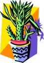 Cactus Clipart