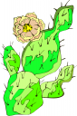 Cactus Clipart