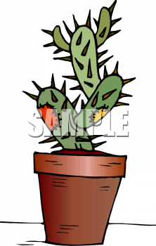 Cactus Clipart