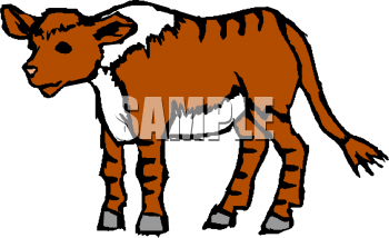 Calf Clipart