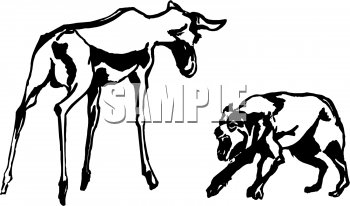 Calf Clipart